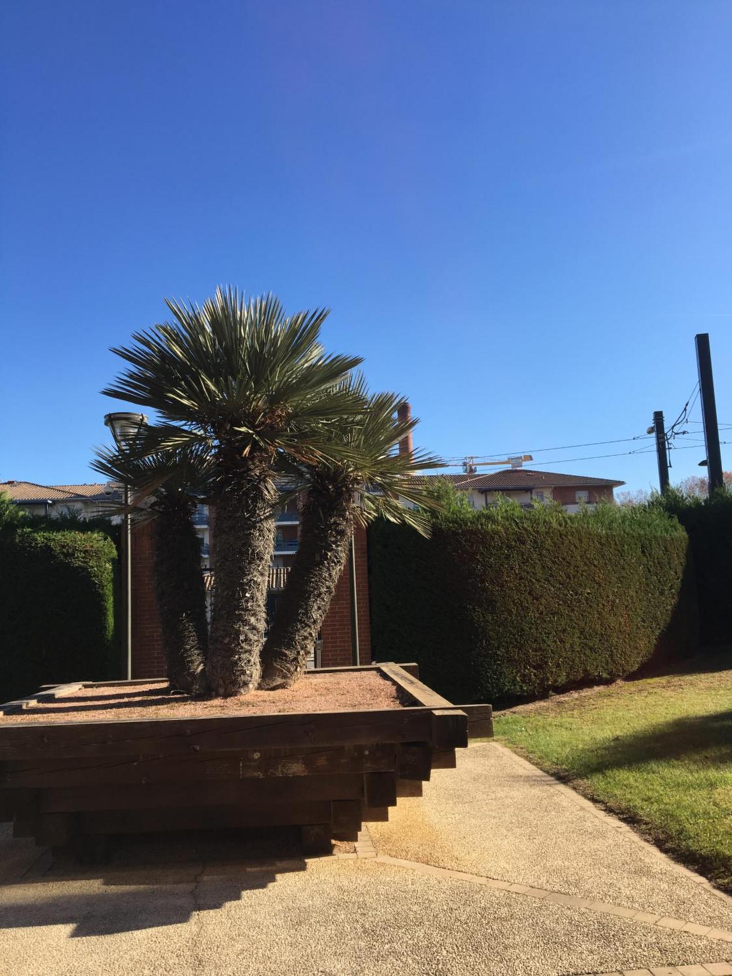 Toulouse Premium Appartement Parking Tramway Wifi Charmant Εξωτερικό φωτογραφία